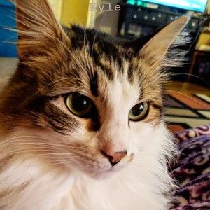 Meet your Posher, Toristravels